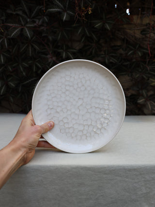 Dimpled plate set (sample)