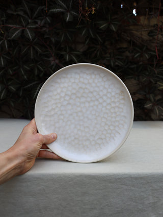 Dimpled plate set (sample)